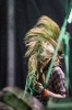metaldays-day3_255